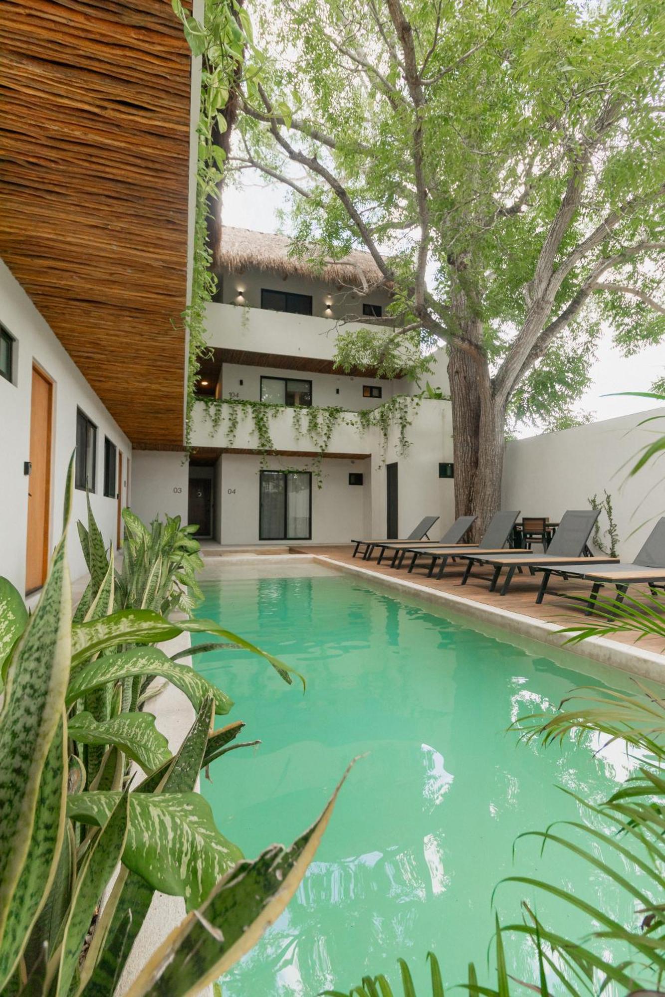 Cozy Apartment With Pool In Bacalar Center エクステリア 写真